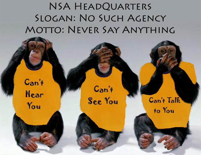 nsachimps
